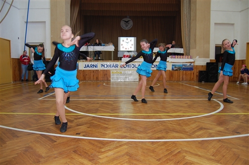 Obrázek v galerii