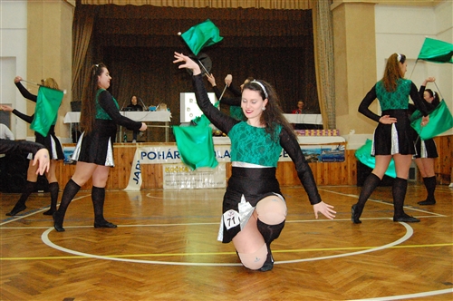 Obrázek v galerii
