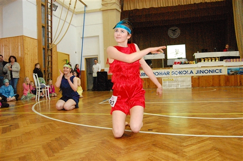 Obrázek v galerii