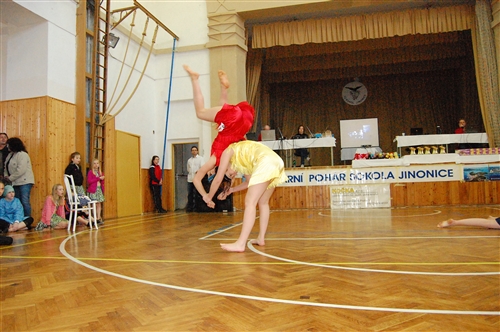 Obrázek v galerii