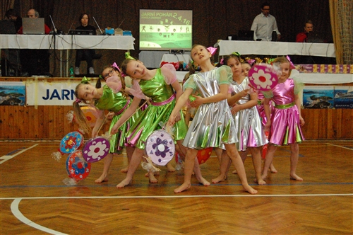 Obrázek v galerii