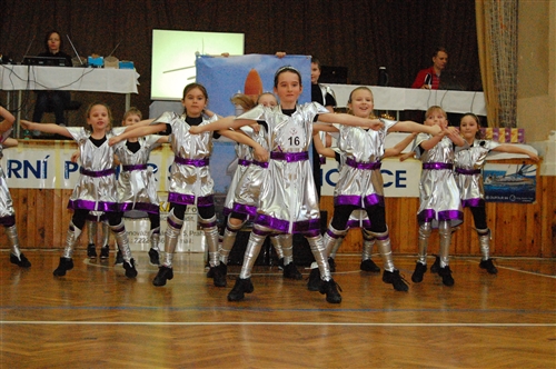Obrázek v galerii