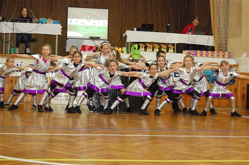 Obrázek v galerii