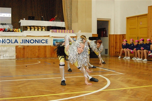 Obrázek v galerii