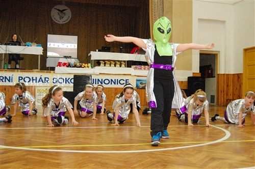 Obrázek v galerii