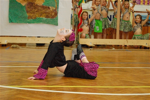Obrázek v galerii