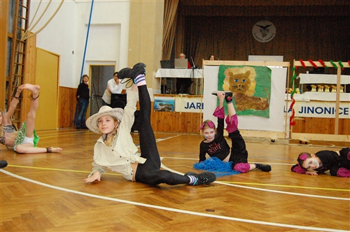 Obrázek v galerii