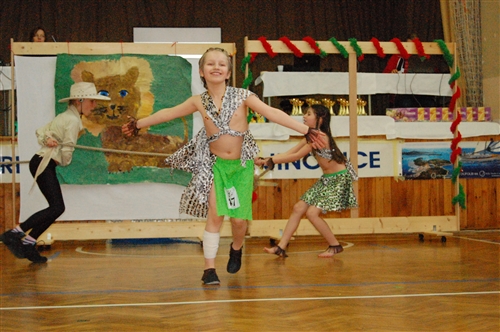 Obrázek v galerii