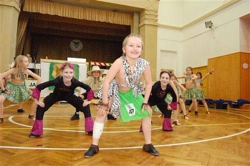 Obrázek v galerii