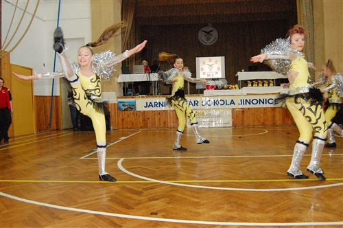 Obrázek v galerii