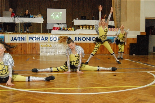 Obrázek v galerii