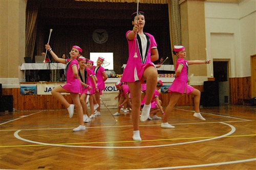 Obrázek v galerii
