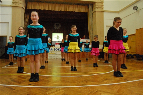 Obrázek v galerii
