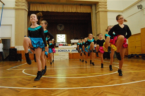 Obrázek v galerii