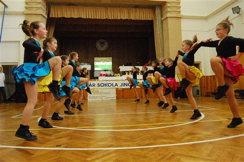 Obrázek v galerii