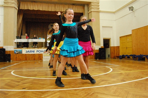 Obrázek v galerii