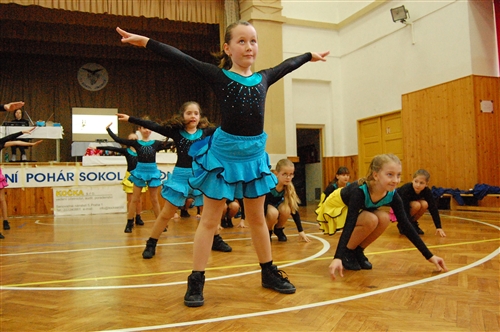 Obrázek v galerii