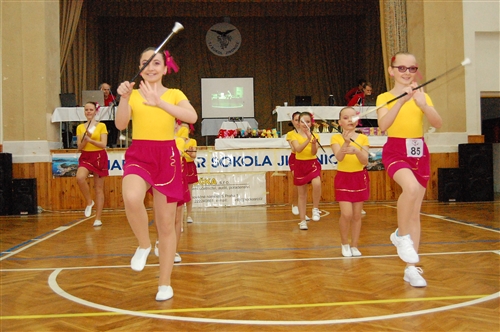 Obrázek v galerii