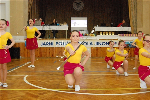 Obrázek v galerii