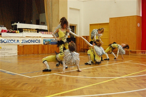 Obrázek v galerii