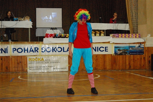 Obrázek v galerii