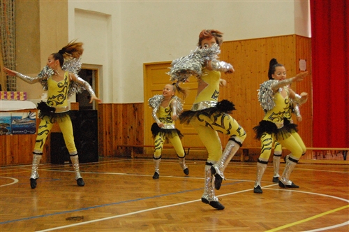 Obrázek v galerii