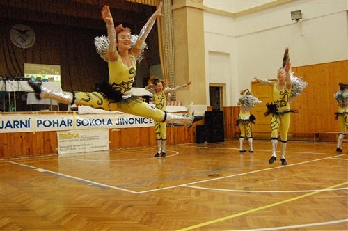 Obrázek v galerii