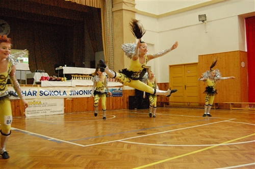 Obrázek v galerii