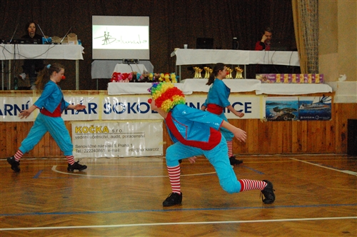 Obrázek v galerii