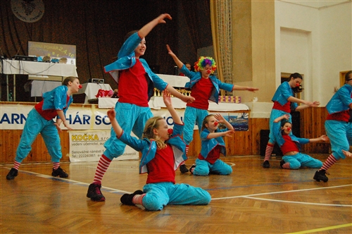 Obrázek v galerii