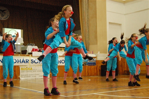 Obrázek v galerii