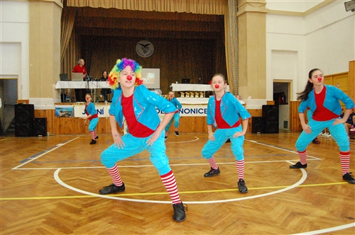 Obrázek v galerii