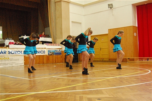Obrázek v galerii