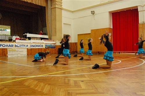 Obrázek v galerii