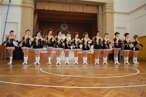 Obrázek v galerii