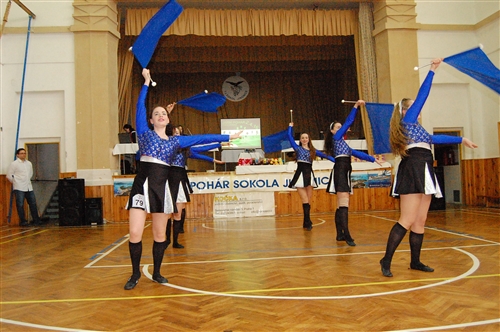 Obrázek v galerii