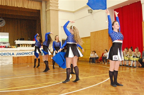 Obrázek v galerii
