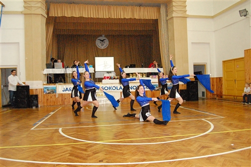 Obrázek v galerii