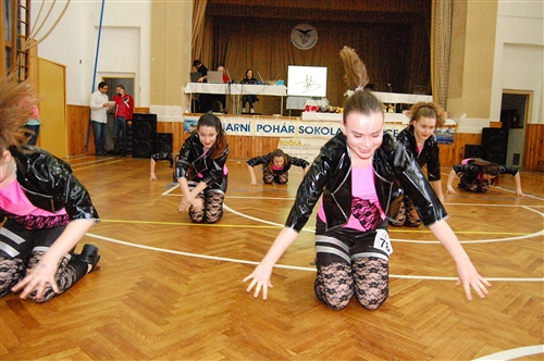 Obrázek v galerii