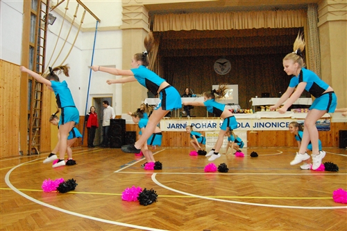 Obrázek v galerii