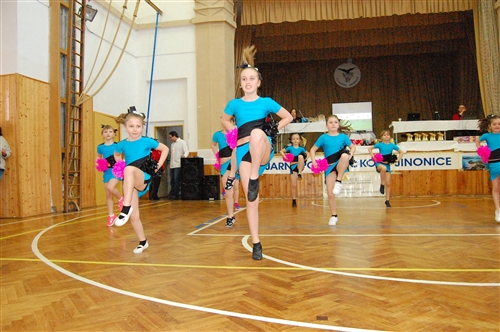 Obrázek v galerii