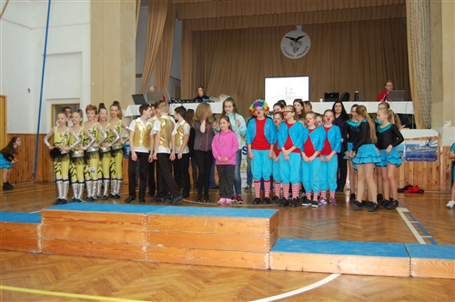Obrázek v galerii