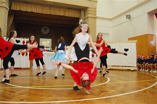 Obrázek v galerii
