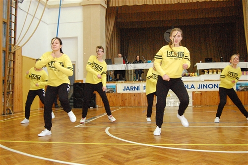 Obrázek v galerii