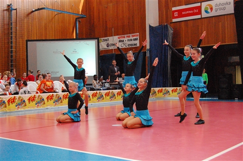 Obrázek v galerii