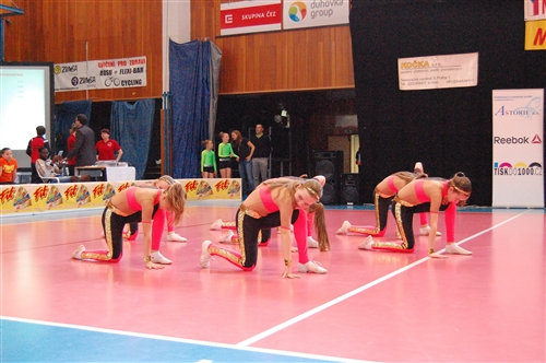 Obrázek v galerii