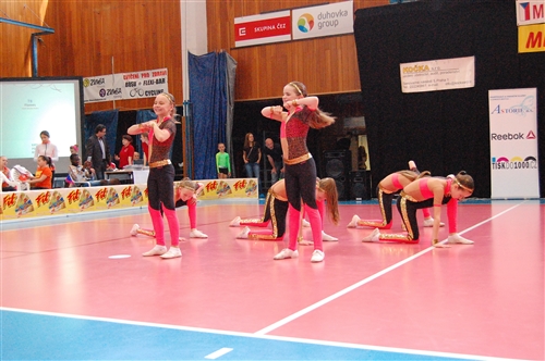 Obrázek v galerii