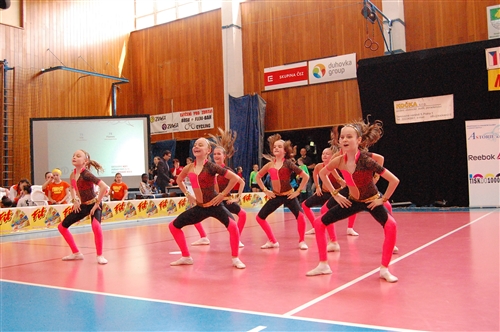 Obrázek v galerii
