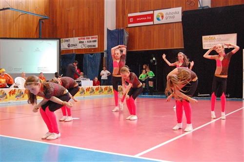 Obrázek v galerii