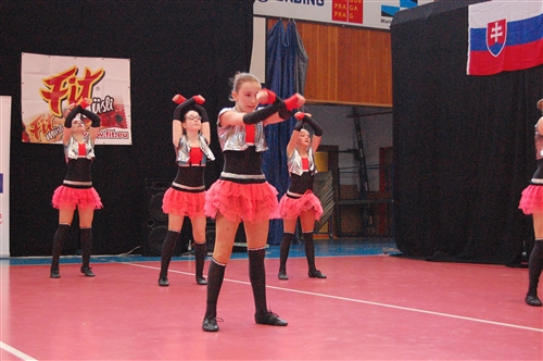 Obrázek v galerii